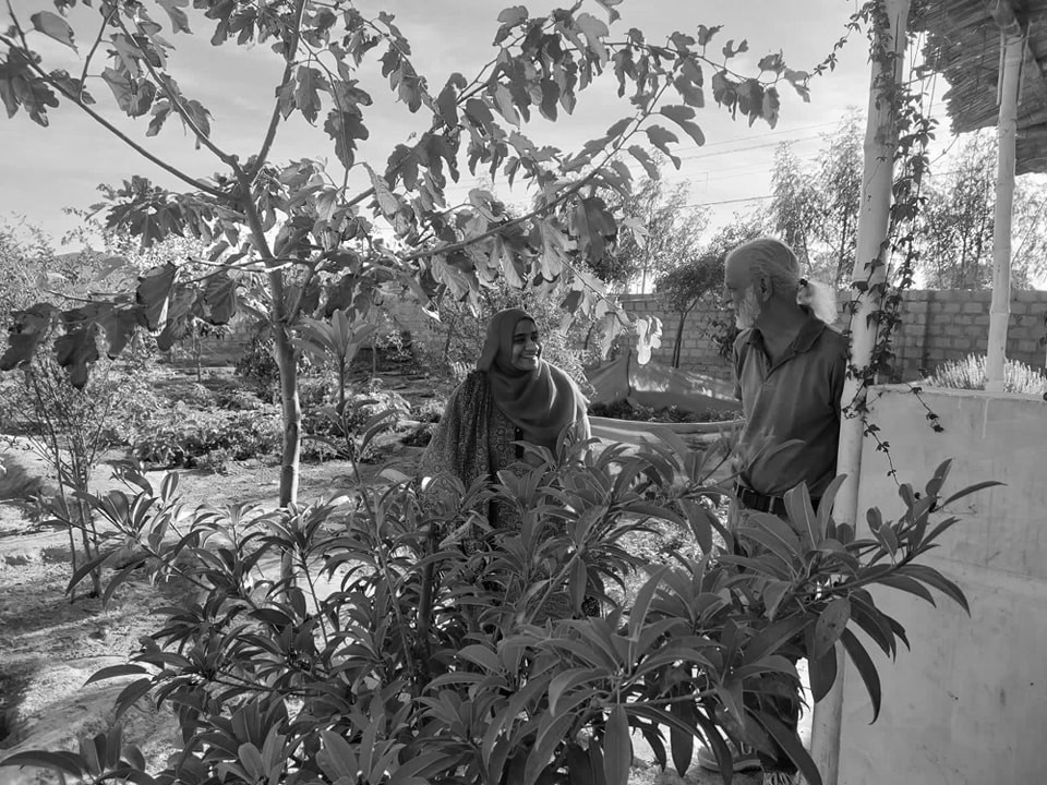 Food Distribution