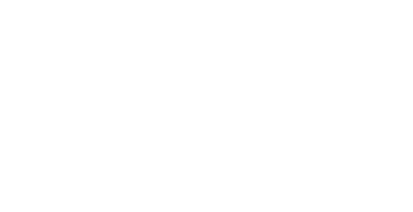 Partner 18
